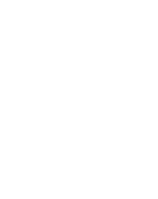 the grammys image